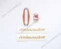 ZZR AMBASADOR